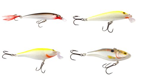 From Lakes to Rivers: Best Practices for Using Magic Roil Lures Across Different Water Bodies